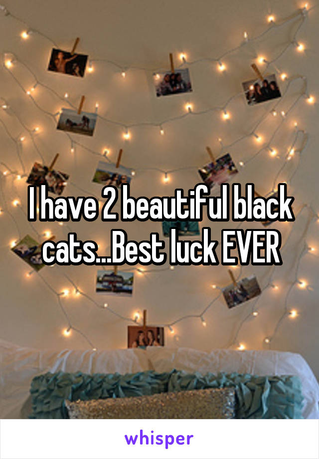 I have 2 beautiful black cats...Best luck EVER