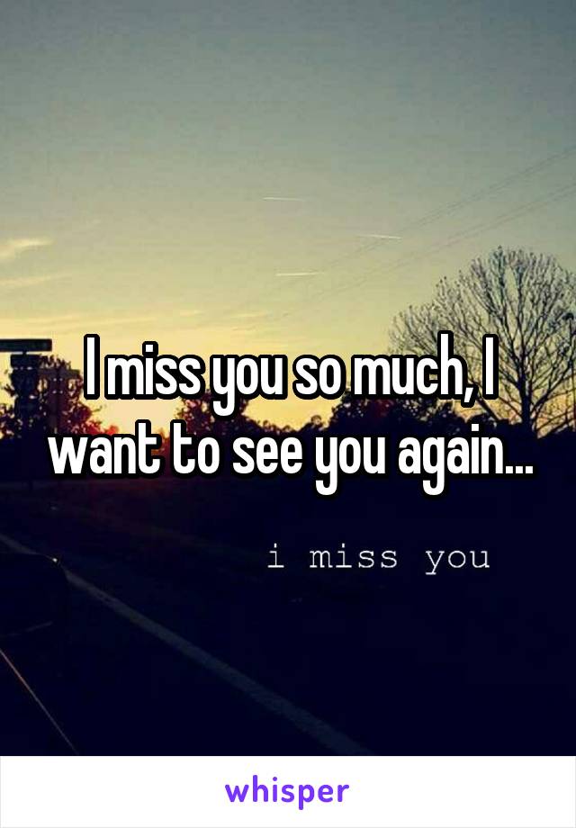 I miss you so much, I want to see you again...