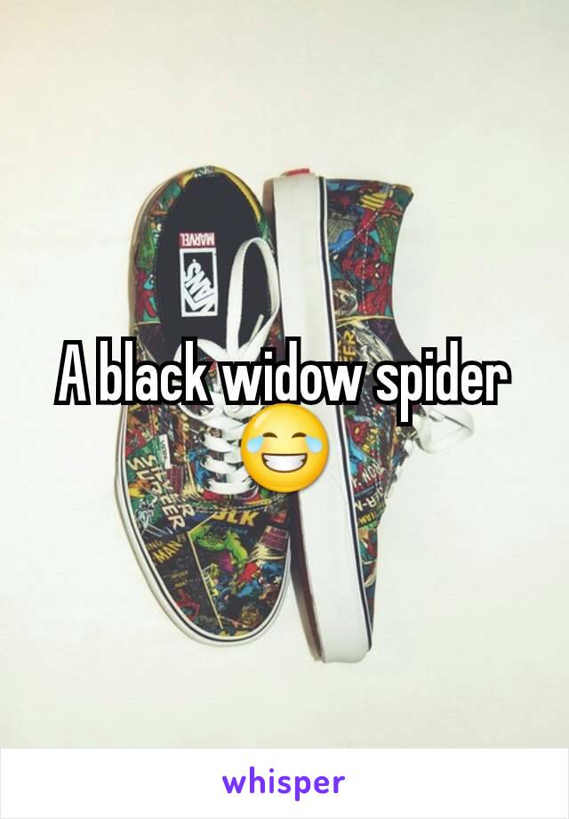 A black widow spider 😂