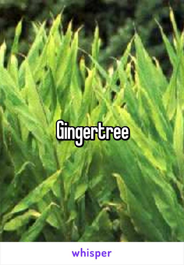 Gingertree