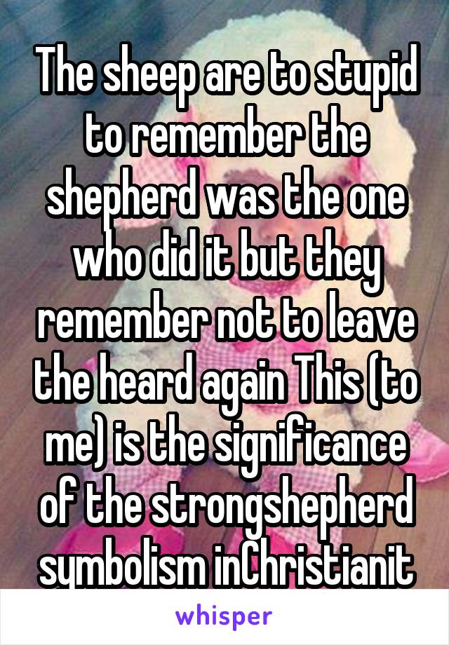 The sheep are to stupid to remember the shepherd was the one who did it but they remember not to leave the heard again This (to me) is the significance of the strongshepherd symbolism inChristianit