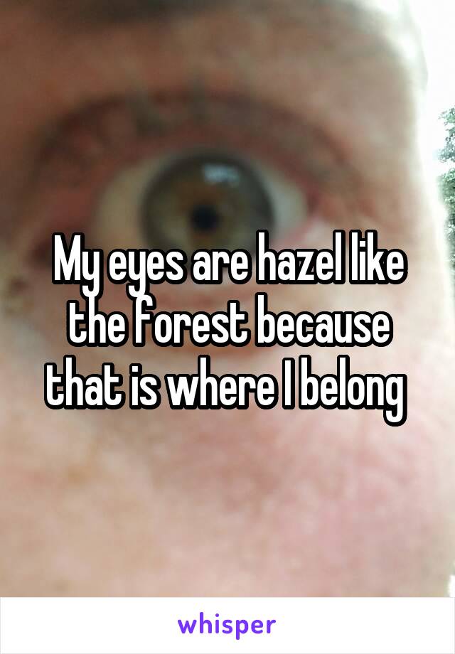 My eyes are hazel like the forest because that is where I belong 