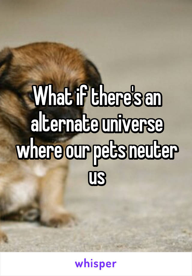 What if there's an alternate universe where our pets neuter us