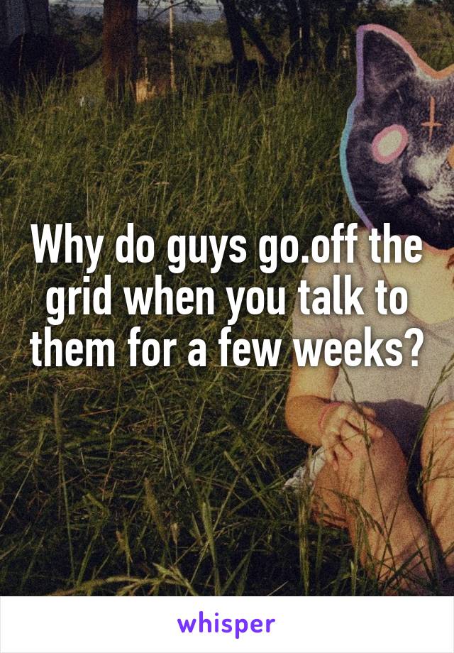 Why do guys go.off the grid when you talk to them for a few weeks? 