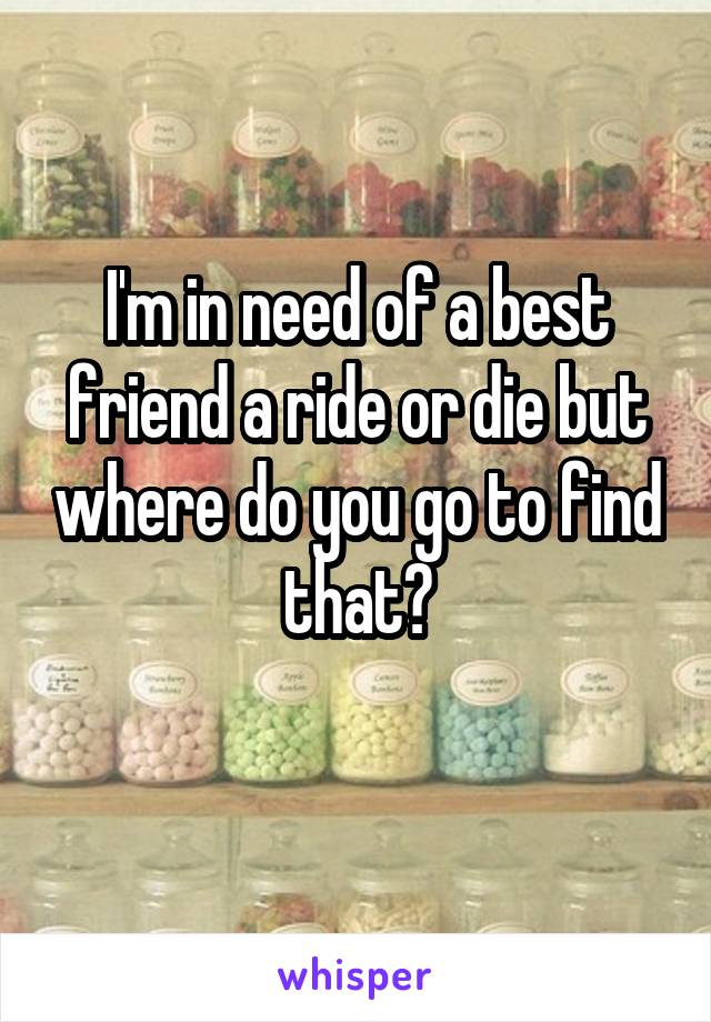 I'm in need of a best friend a ride or die but where do you go to find that?
