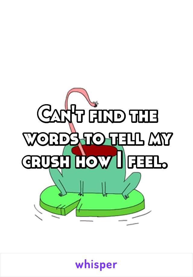 Can't find the words to tell my crush how I feel. 