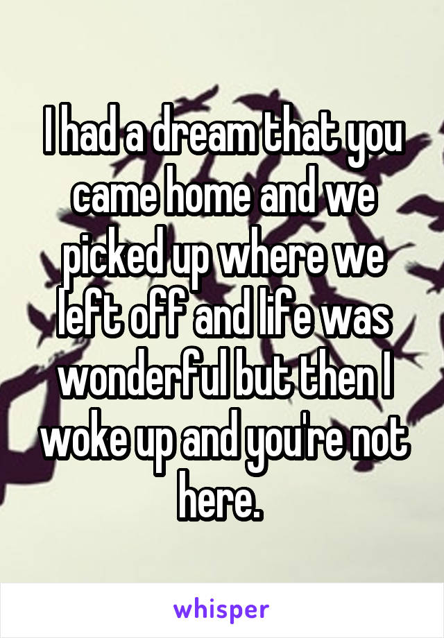 I had a dream that you came home and we picked up where we left off and life was wonderful but then I woke up and you're not here. 