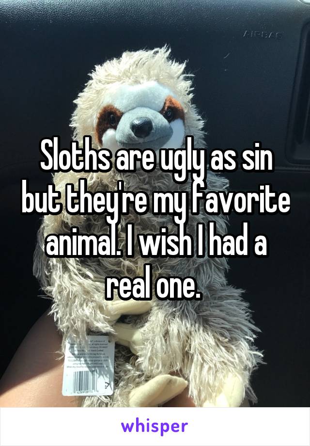Sloths are ugly as sin but they're my favorite animal. I wish I had a real one. 
