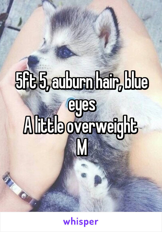 5ft 5, auburn hair, blue eyes
A little overweight 
M