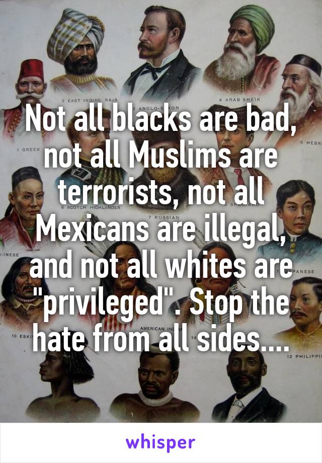 Not all blacks are bad, not all Muslims are terrorists, not all Mexicans are illegal, and not all whites are "privileged". Stop the hate from all sides....