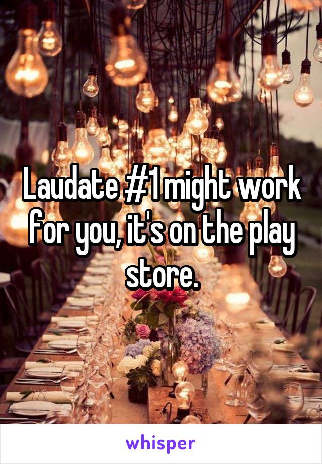 Laudate #1 might work for you, it's on the play store.