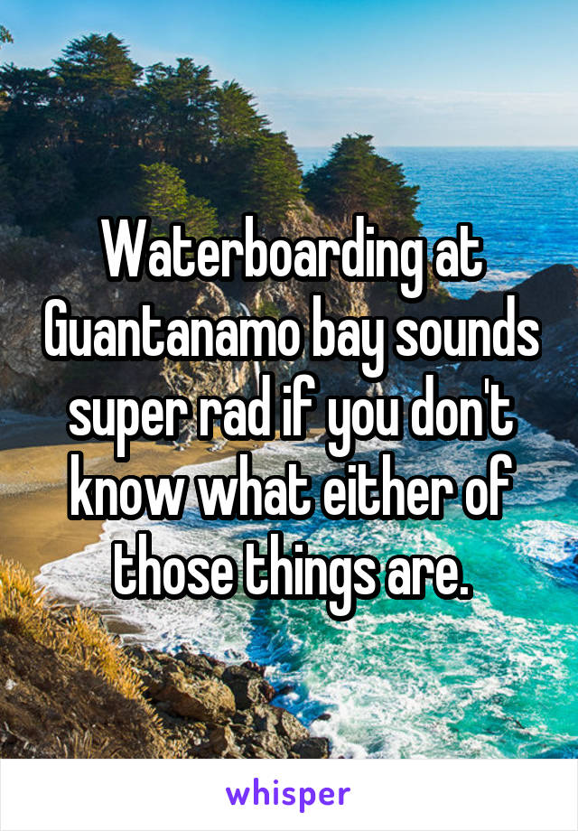 Waterboarding at Guantanamo bay sounds super rad if you don't know what either of those things are.