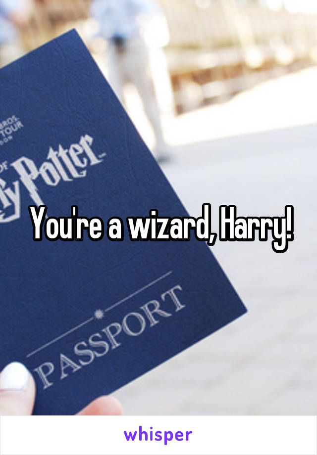 You're a wizard, Harry!