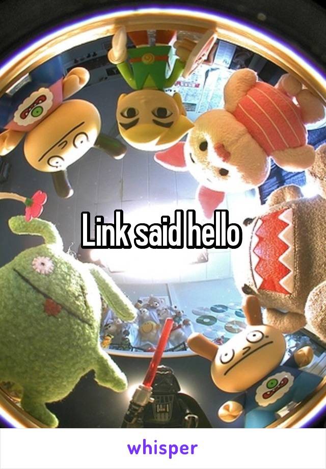 Link said hello 