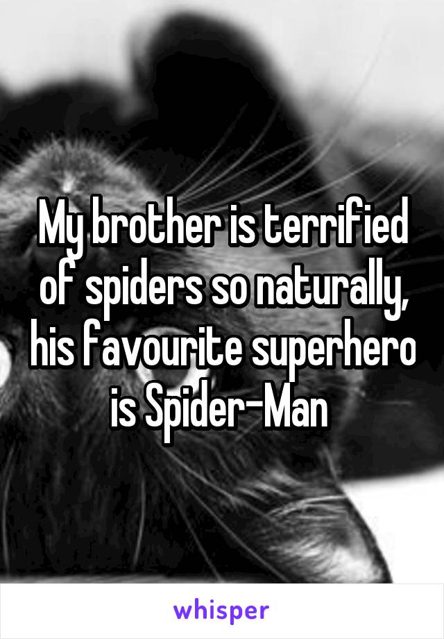 My brother is terrified of spiders so naturally, his favourite superhero is Spider-Man 