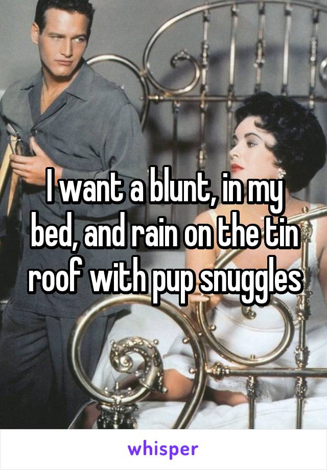 I want a blunt, in my bed, and rain on the tin roof with pup snuggles