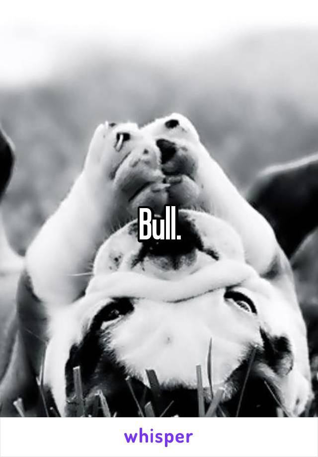 Bull.