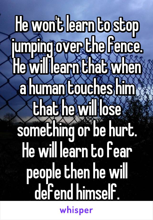 He won't learn to stop jumping over the fence. He will learn that when a human touches him that he will lose something or be hurt. He will learn to fear people then he will defend himself.