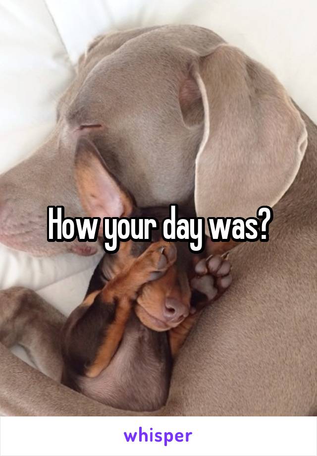 How your day was?