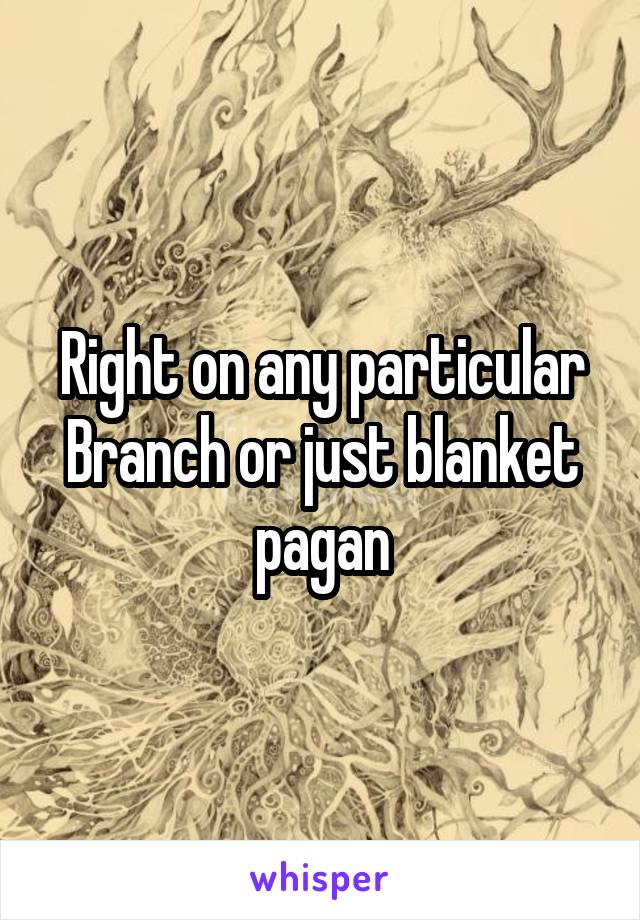 Right on any particular Branch or just blanket pagan