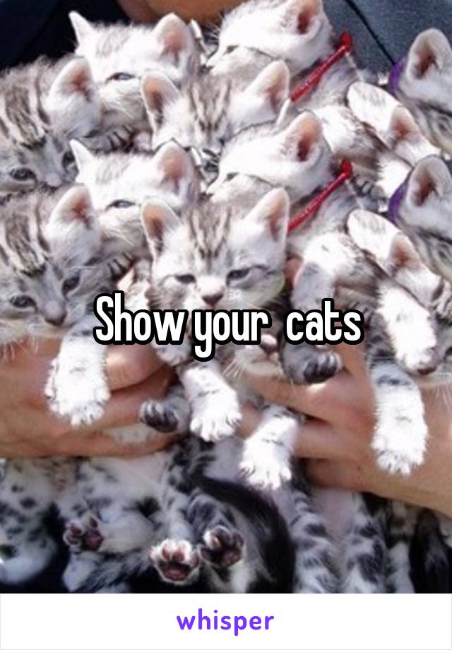 Show your  cats