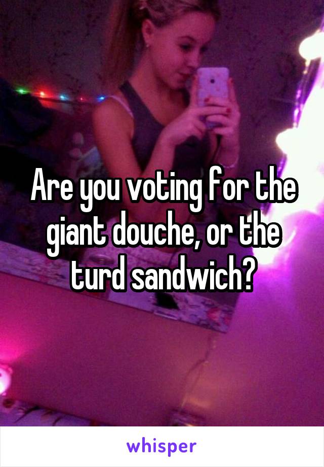Are you voting for the giant douche, or the turd sandwich?