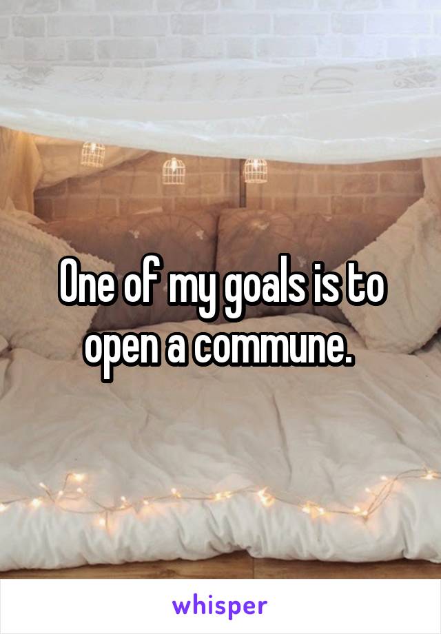 One of my goals is to open a commune. 