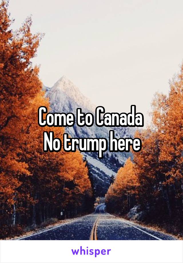 Come to Canada 
No trump here