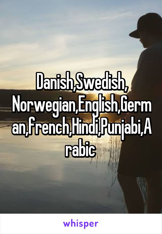 Danish,Swedish, Norwegian,English,German,french,Hindi,Punjabi,Arabic 