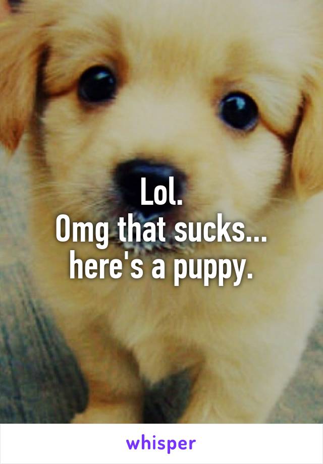 Lol.
Omg that sucks... here's a puppy.