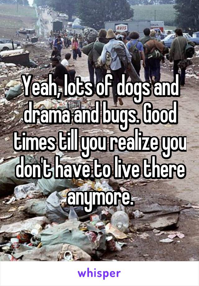 Yeah, lots of dogs and drama and bugs. Good times till you realize you don't have to live there anymore.