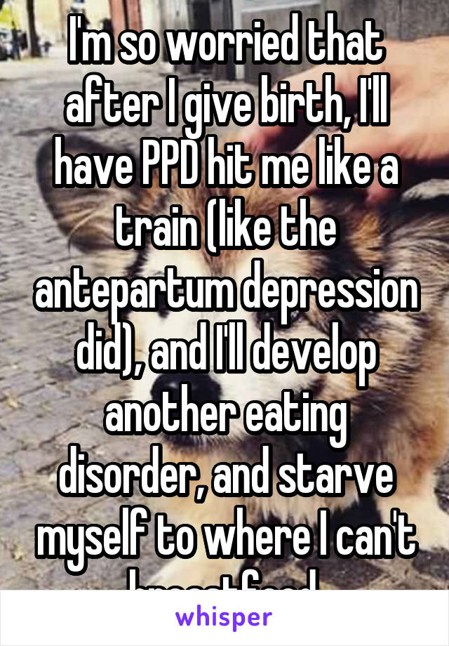 I'm so worried that after I give birth, I'll have PPD hit me like a train (like the antepartum depression did), and I'll develop another eating disorder, and starve myself to where I can't breastfeed.