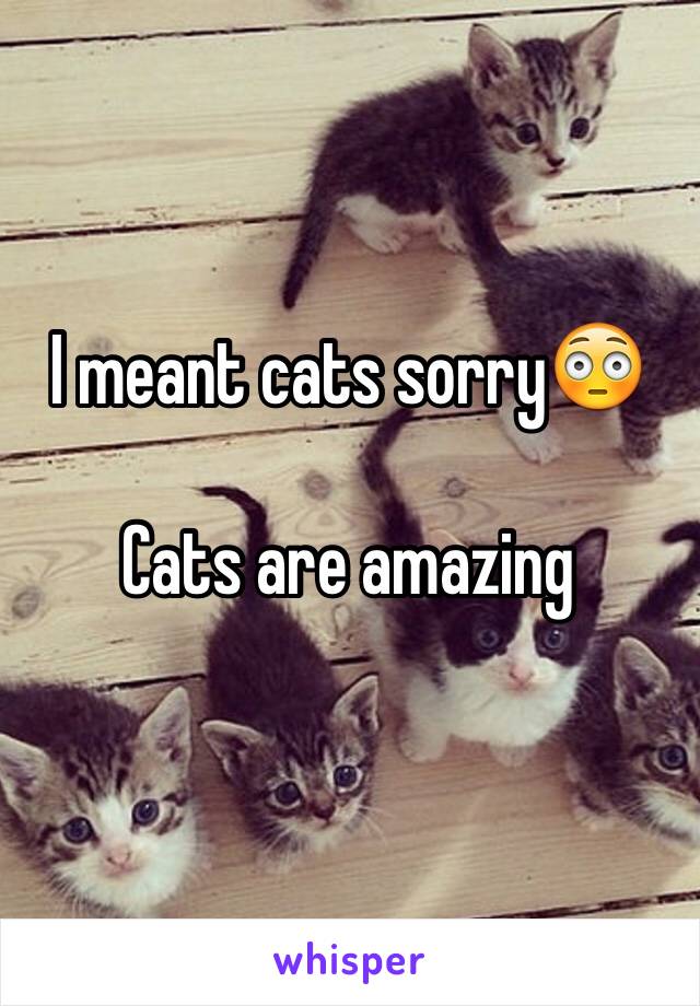 I meant cats sorry😳

Cats are amazing  
