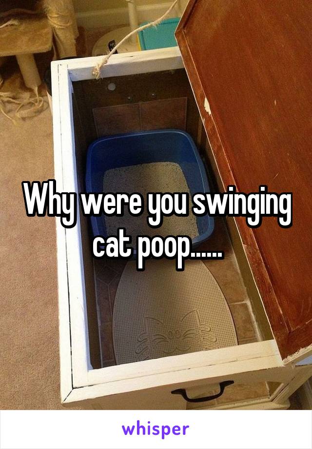 Why were you swinging cat poop......