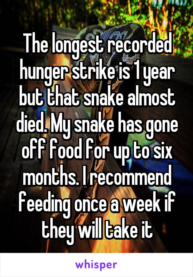 The longest recorded hunger strike is 1 year but that snake almost died. My snake has gone off food for up to six months. I recommend feeding once a week if they will take it