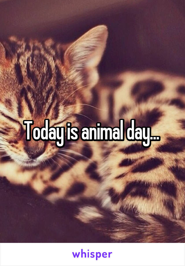 Today is animal day... 