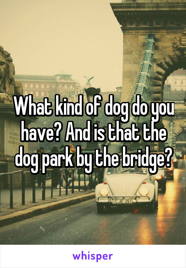 What kind of dog do you have? And is that the dog park by the bridge?