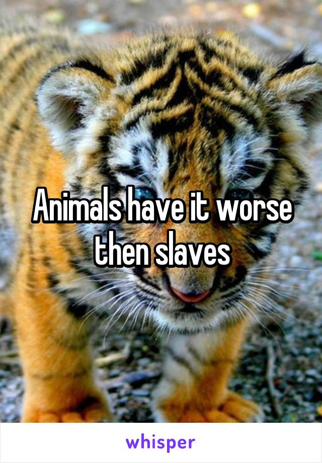 Animals have it worse then slaves