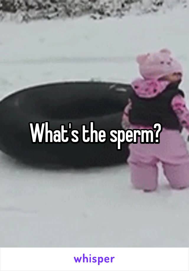 What's the sperm?