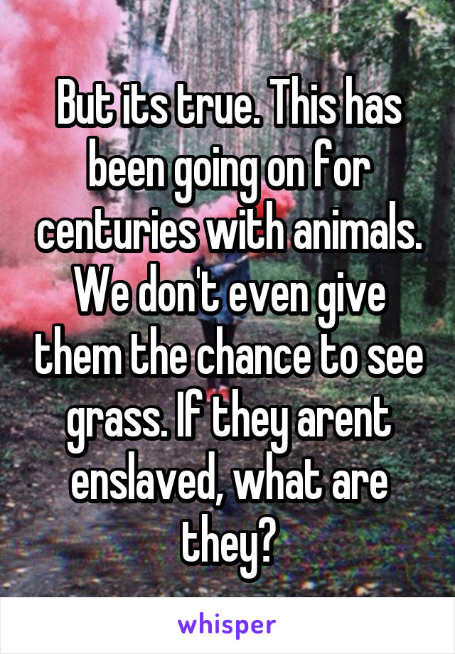 But its true. This has been going on for centuries with animals. We don't even give them the chance to see grass. If they arent enslaved, what are they?