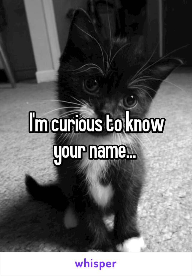 I'm curious to know your name... 