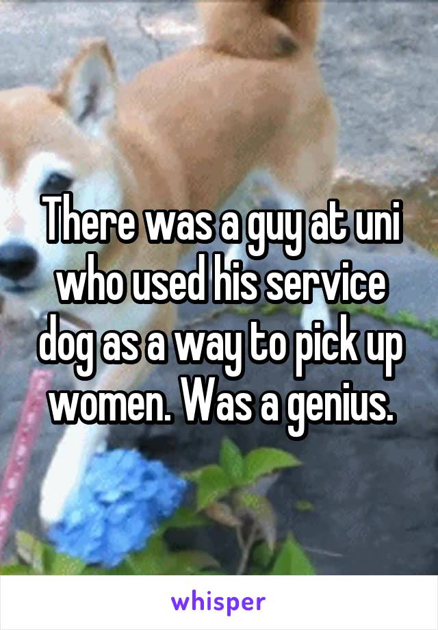 There was a guy at uni who used his service dog as a way to pick up women. Was a genius.
