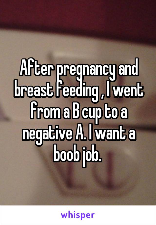 After pregnancy and breast feeding , I went from a B cup to a negative A. I want a boob job. 