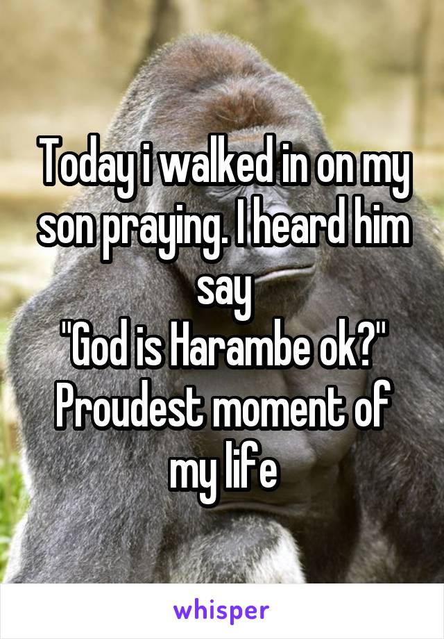 Today i walked in on my son praying. I heard him say
"God is Harambe ok?"
Proudest moment of my life