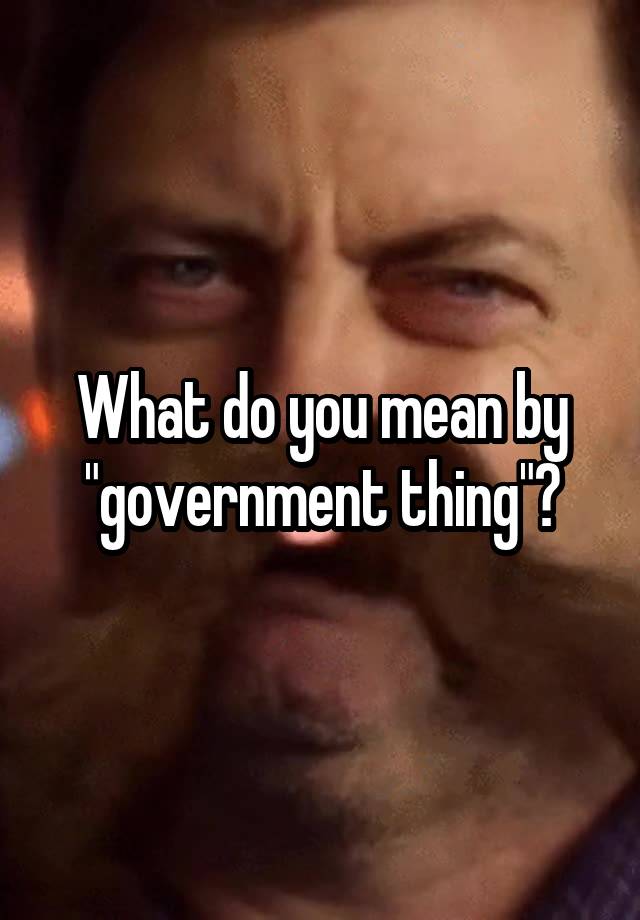 what-do-you-mean-by-government-thing