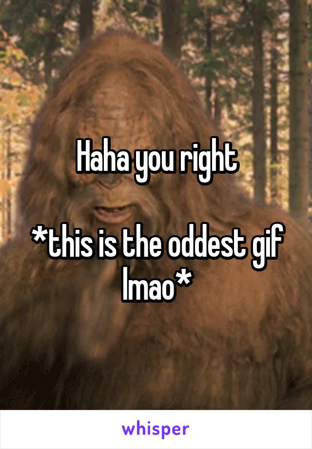 Haha you right

*this is the oddest gif lmao*