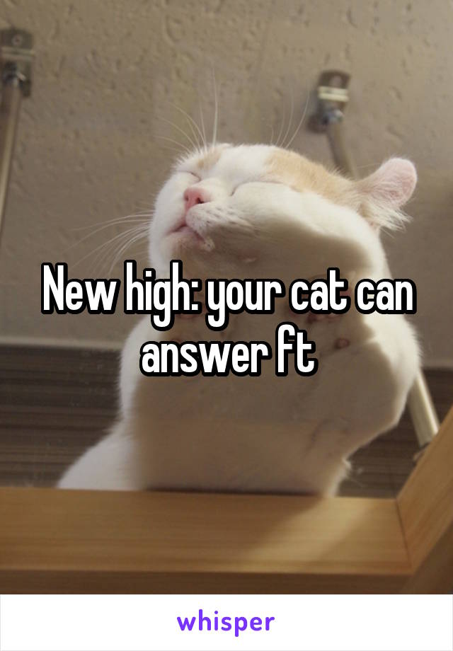 New high: your cat can answer ft