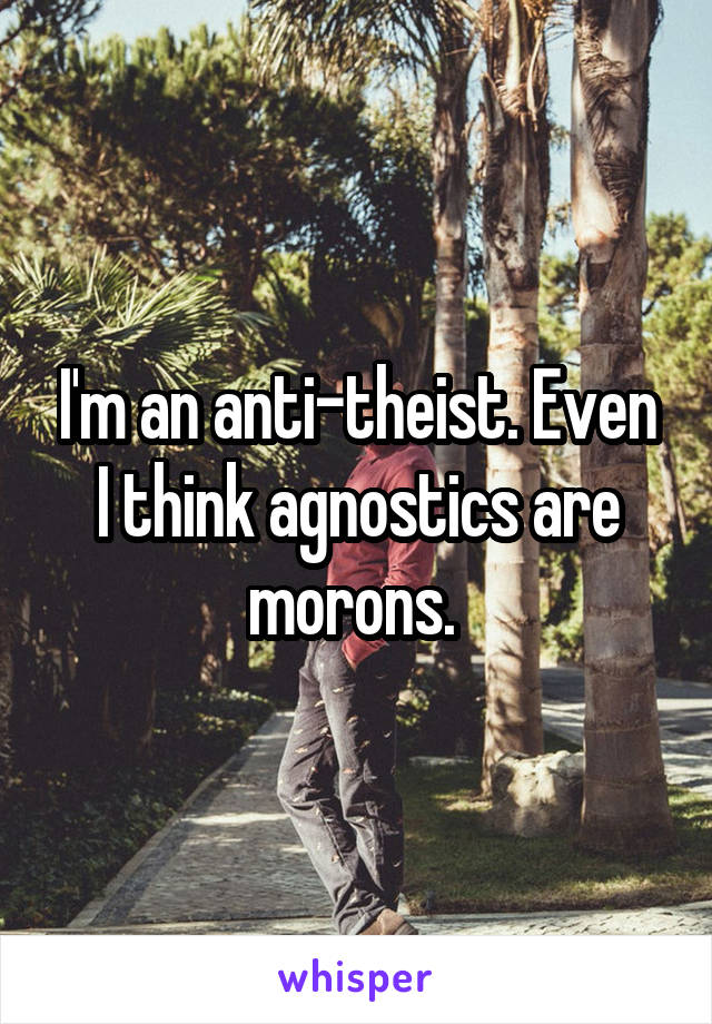 I'm an anti-theist. Even I think agnostics are morons. 