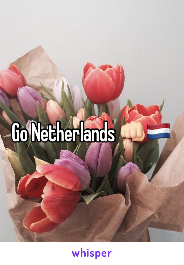 Go Netherlands 👊🏻🇳🇱
