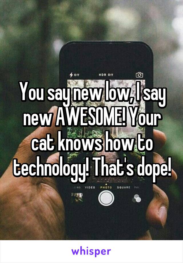 You say new low, I say new AWESOME! Your cat knows how to technology! That's dope!